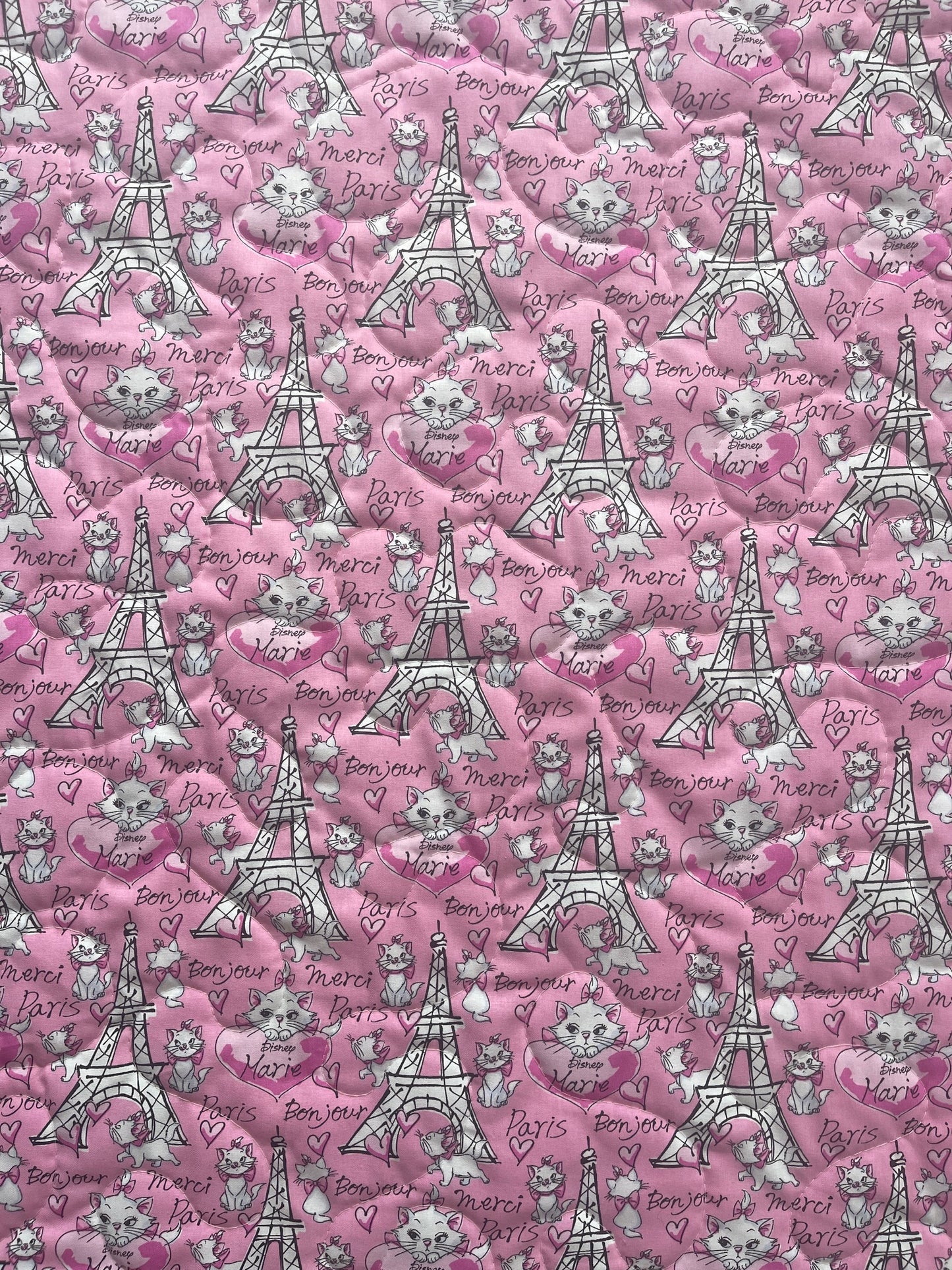 WALT DISNEY PRODUCTIONS THE ARISTOCATS Inspired Quilted Blanket Full Of Fun and Laughter and all that Jazz