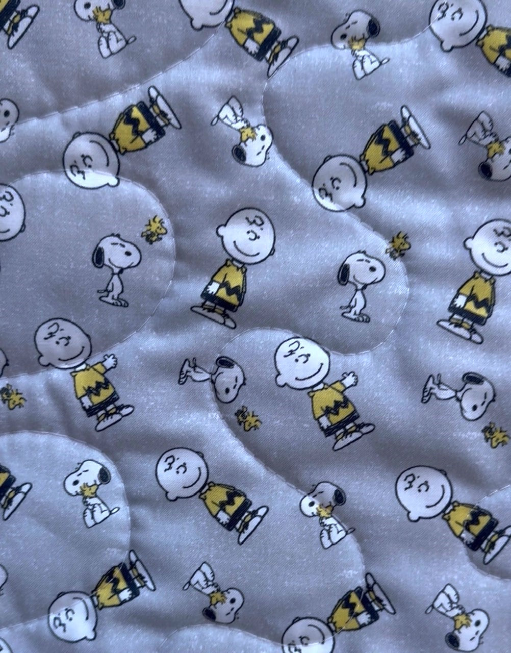PEANUTS CHARLIE BROWN, SNOOPY & WOODSTOCK *BEST FRIENDS* Inspired Quilted Blanket