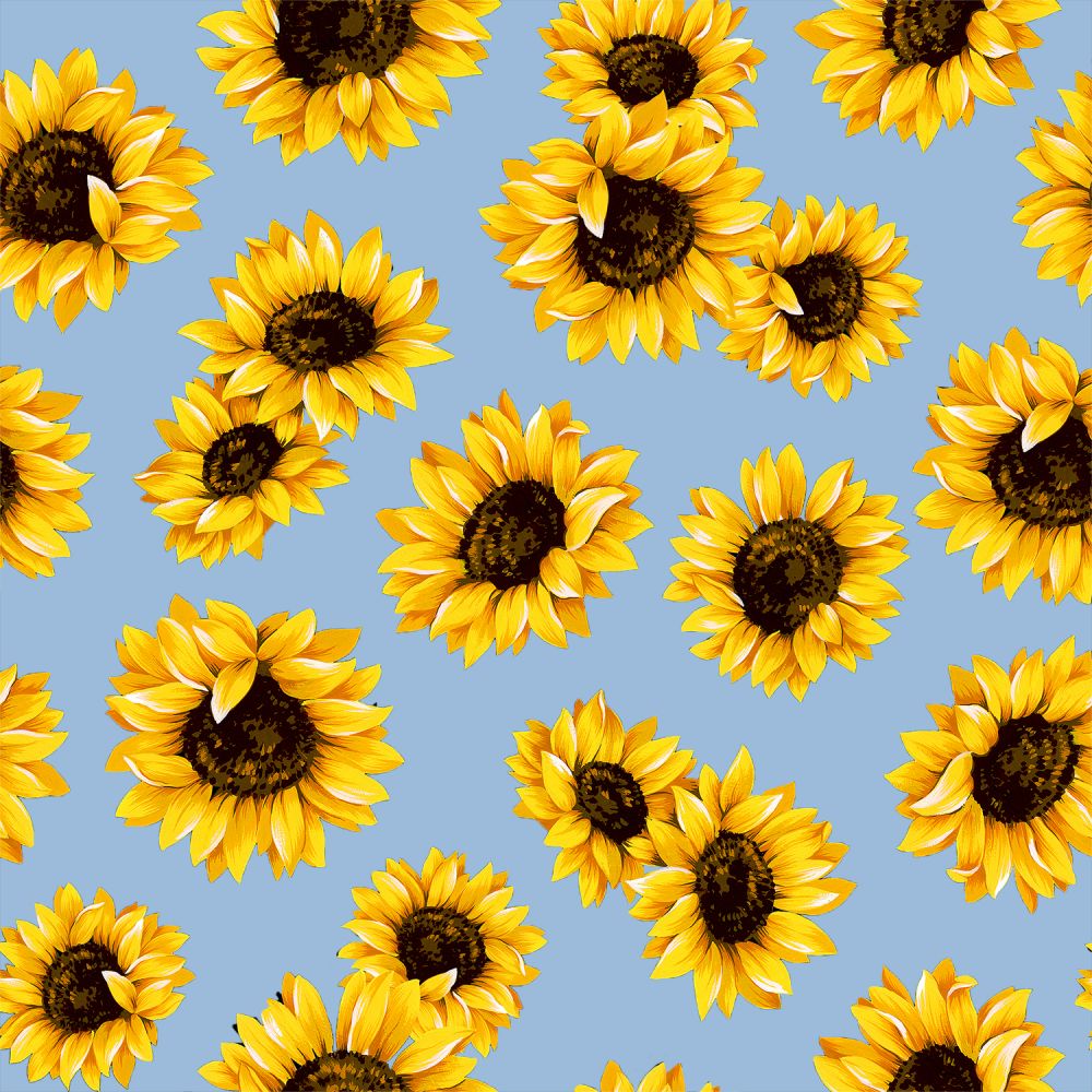 BOO BOO BAGS Hot & Cold Therapy Variety of 5 Sunflower fabrics Set of 2 bags