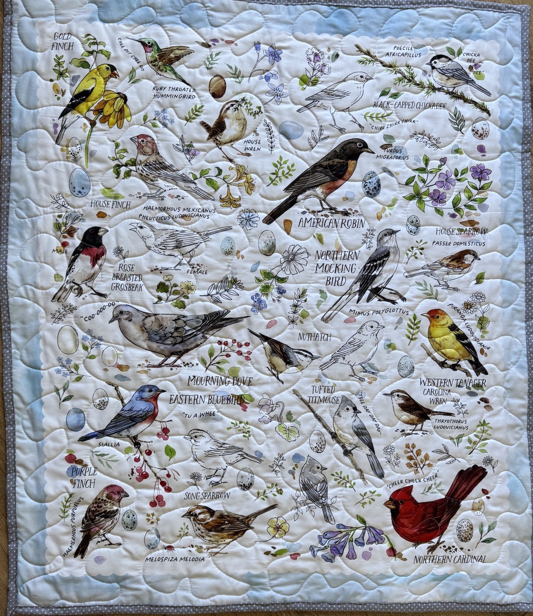VARIETY OF BIRDS WHO LOES BIRD WATCHING QUILT BLANKET