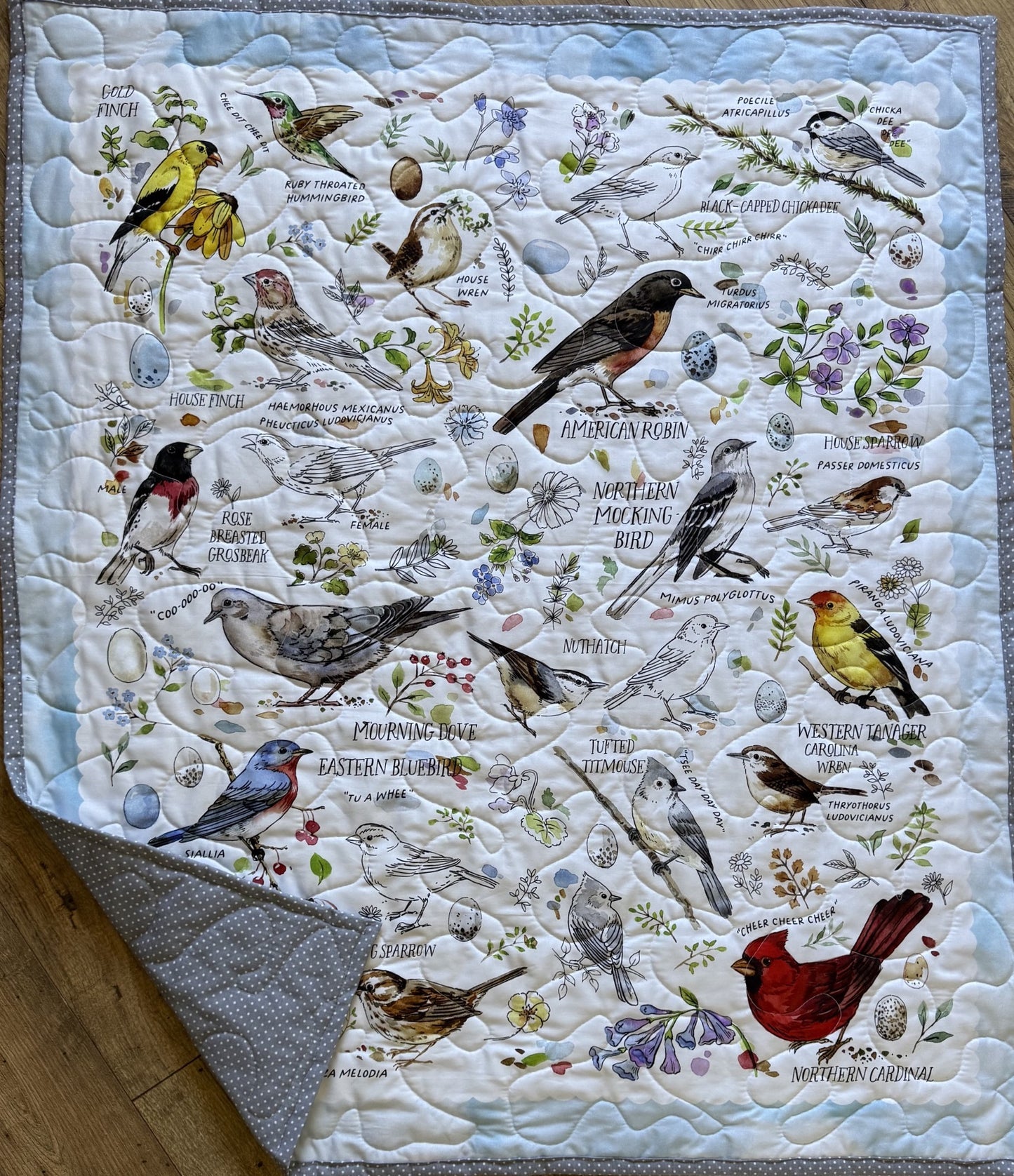 VARIETY OF BIRDS WHO LOES BIRD WATCHING QUILT BLANKET