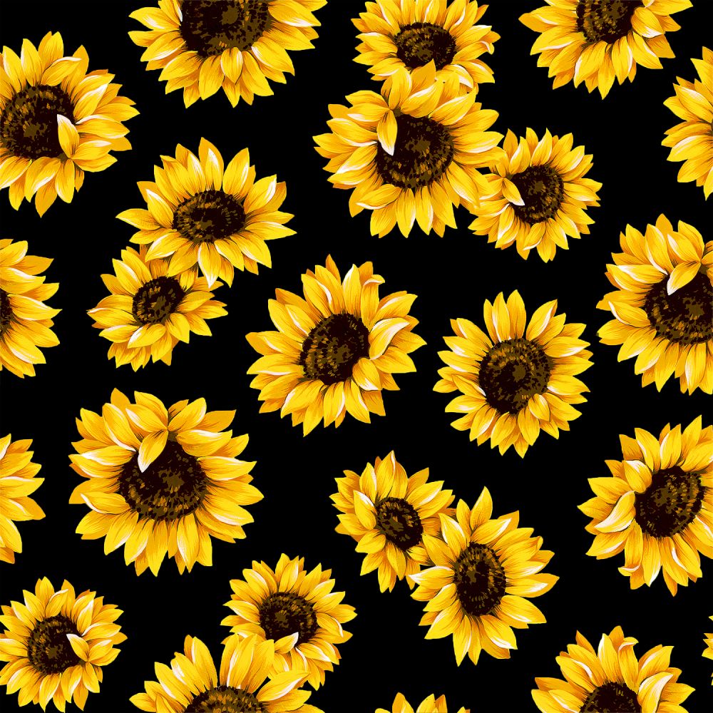 BOO BOO BAGS Hot & Cold Therapy Variety of 5 Sunflower fabrics Set of 2 bags
