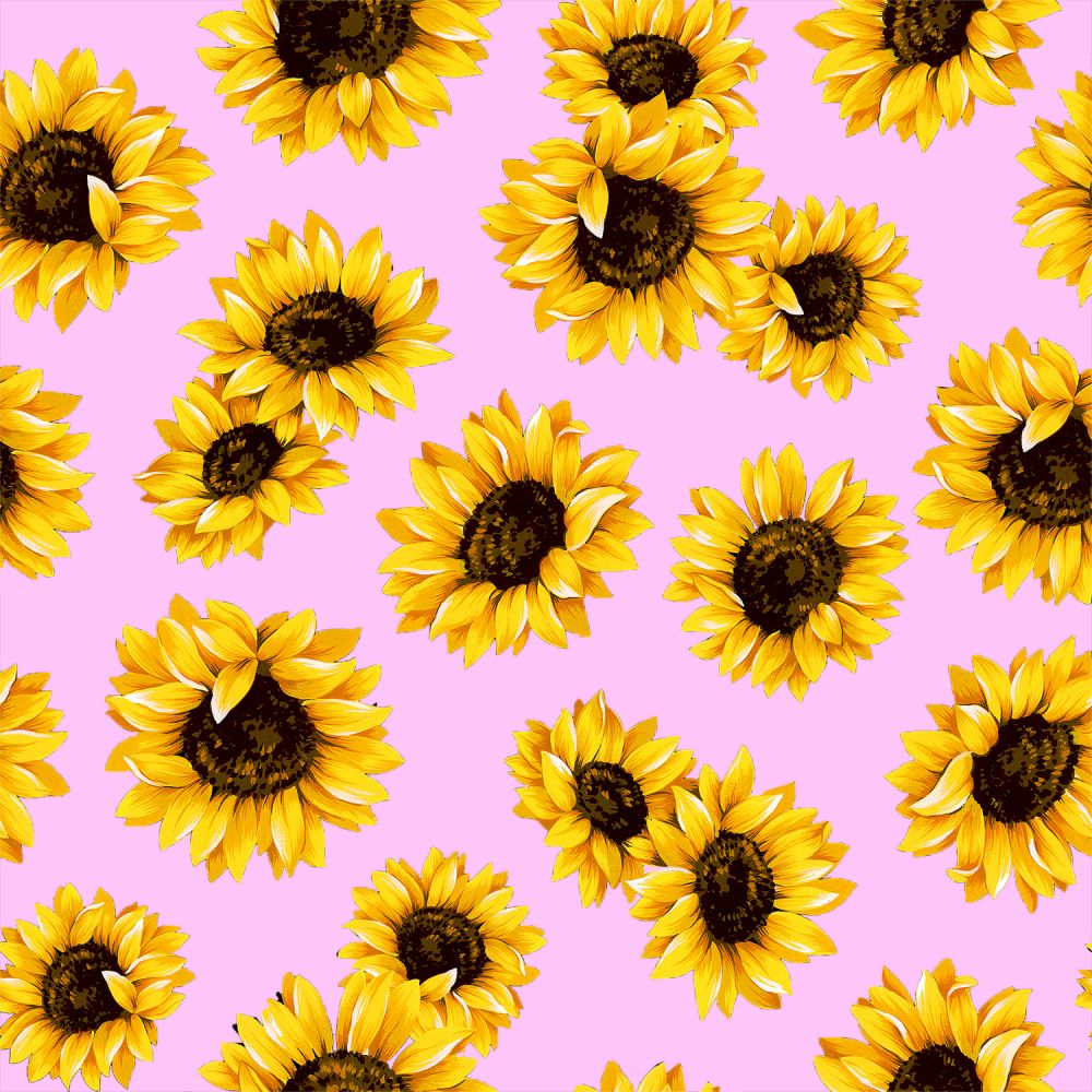 BOO BOO BAGS Hot & Cold Therapy Variety of 5 Sunflower fabrics Set of 2 bags