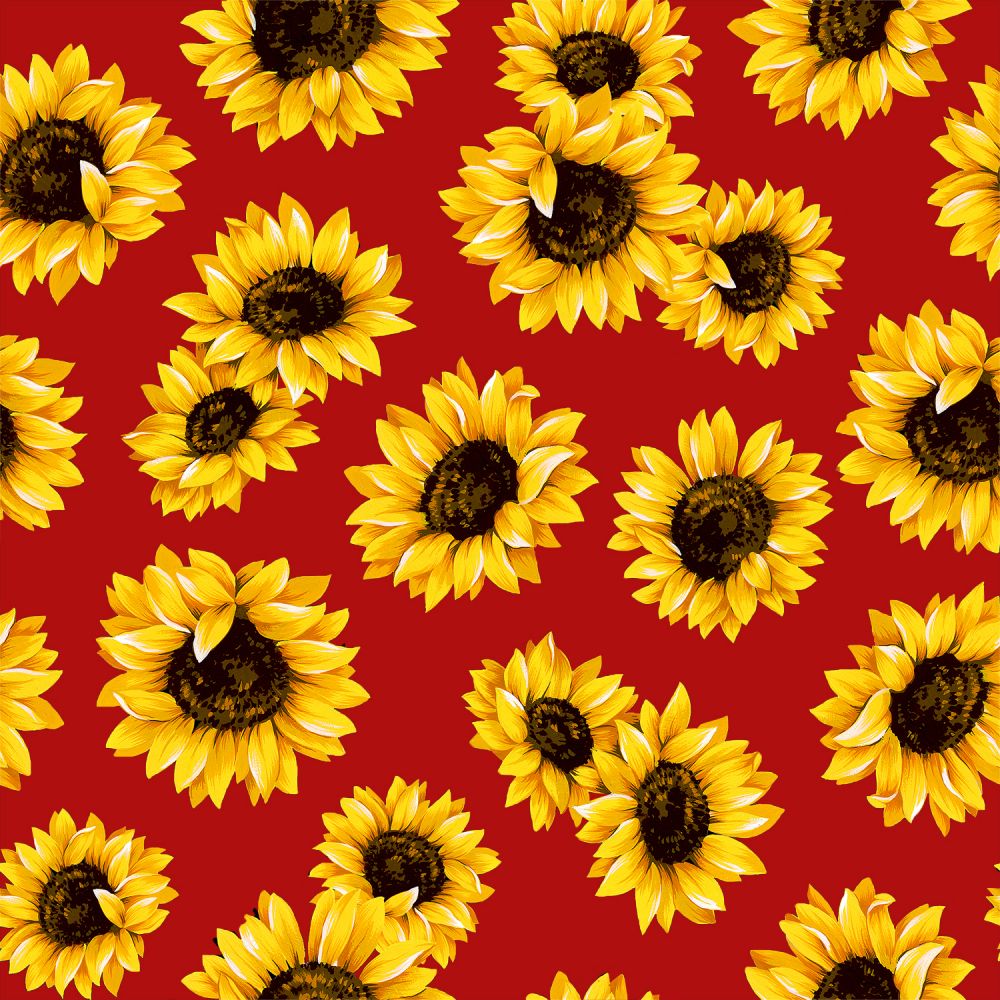 BOO BOO BAGS Hot & Cold Therapy Variety of 5 Sunflower fabrics Set of 2 bags